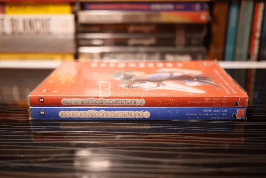 เธอ เขา และลิขิตรักของเราสามคม 2 เล่มจบ รูปที่ 2