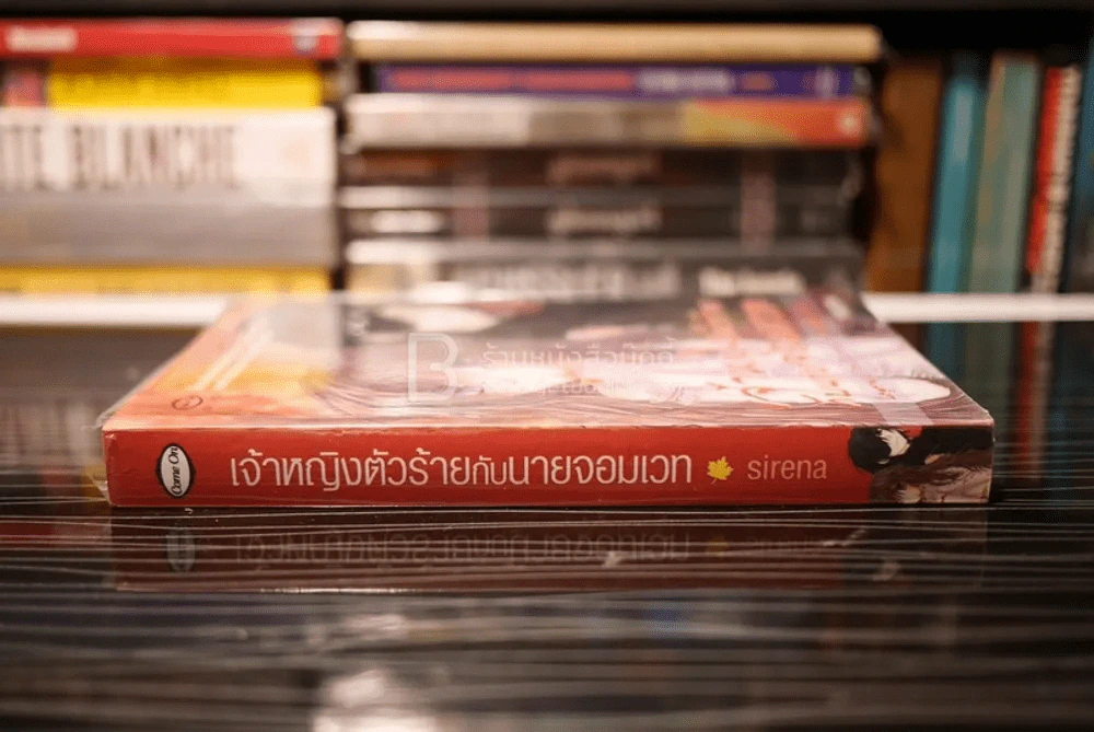 เจ้าหญิงตัวร้ายกับนายจอมเวท รูปที่ 2