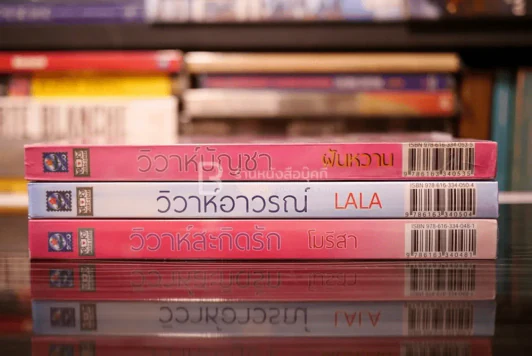 นวนิยายชุด ลูกสาวมาเฟีย 3 เล่ม (สภาพดี) รูปที่ 3
