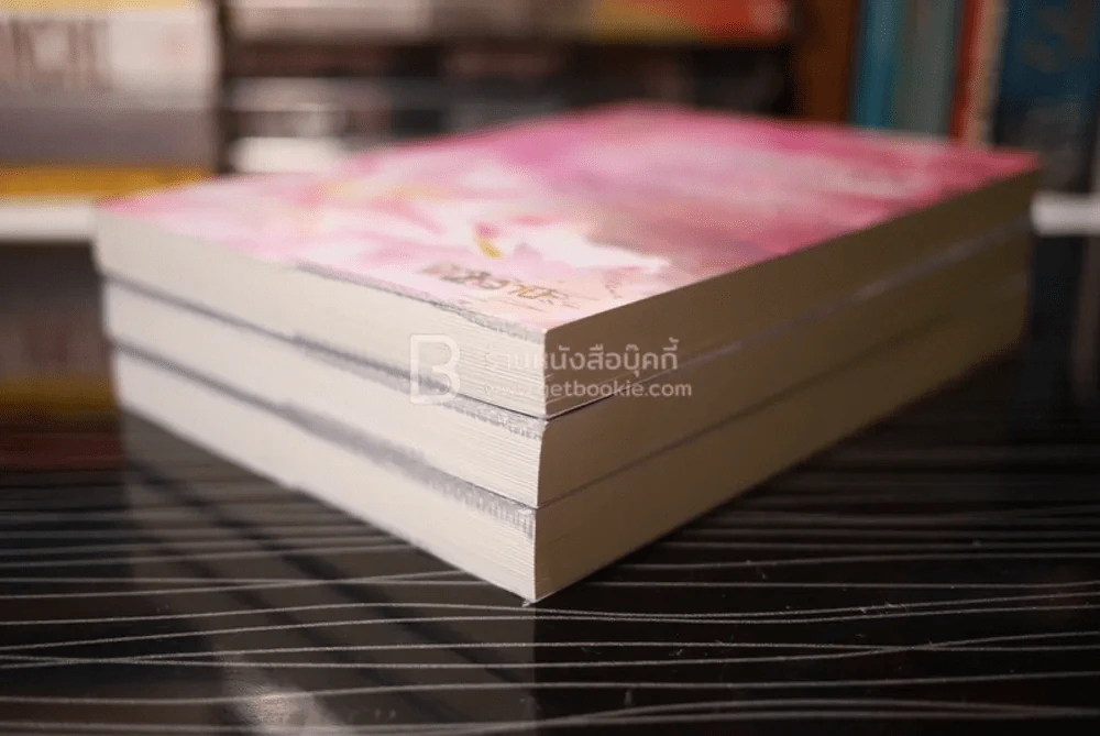 นวนิยายชุด ลูกสาวมาเฟีย 3 เล่ม (สภาพดี) รูปที่ 5