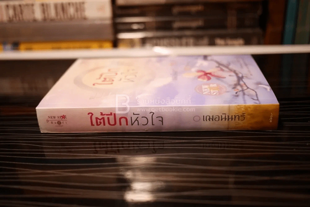 ใต้ปีกหัวใจ - เฌอนินทร์ (สภาพดี) รูปที่ 2