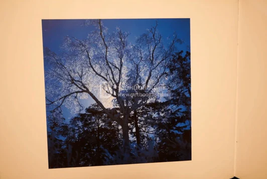 Moonlight Blue รูปที่ 5