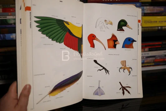 The Macmillan Visual Dictionary รูปที่ 6