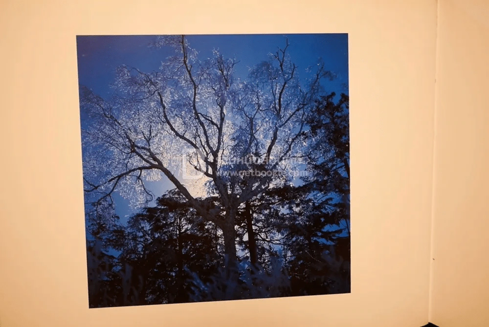 Moonlight Blue รูปที่ 5