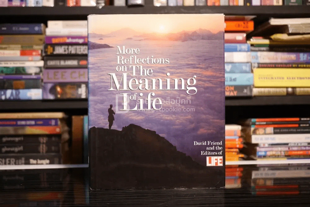 More Reflections on The Meaning of Life รูปที่ 1