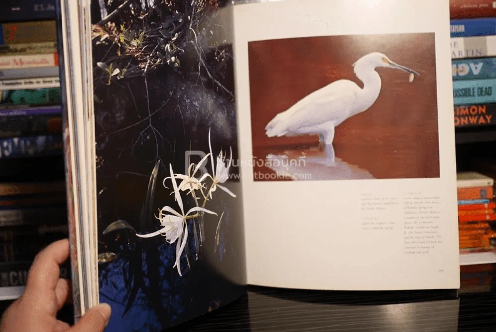 Preserving Eden The Nature Conservancy รูปที่ 6