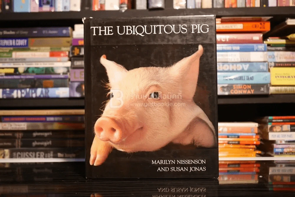 The Ubiquitous Pig รูปที่ 1