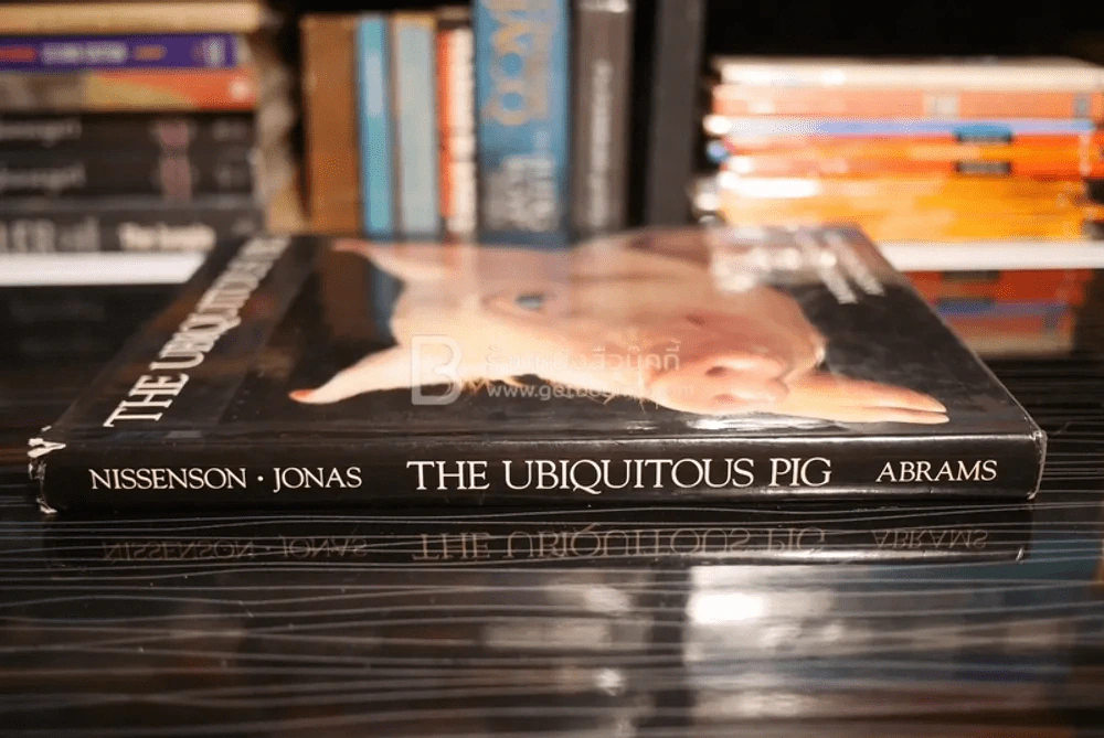 The Ubiquitous Pig รูปที่ 2