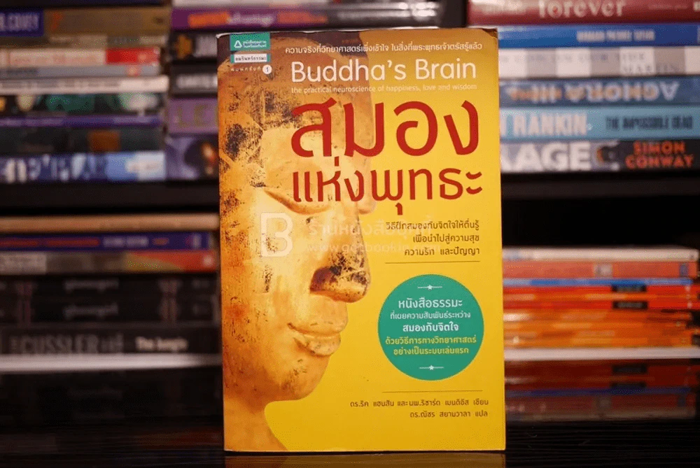 สมองแห่งพุทธะ รูปที่ 1