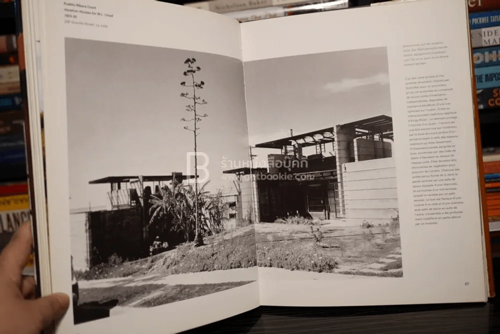 R.M.Schindler รูปที่ 6