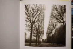 Deceits & Fantasies Contemporary Photography and The Garden รูปที่ 6