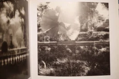 Deceits & Fantasies Contemporary Photography and The Garden รูปที่ 5