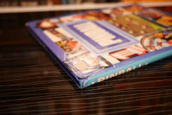 Pinball - Tiger รูปที่ 3