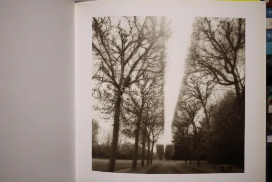 Deceits & Fantasies Contemporary Photography and The Garden รูปที่ 6