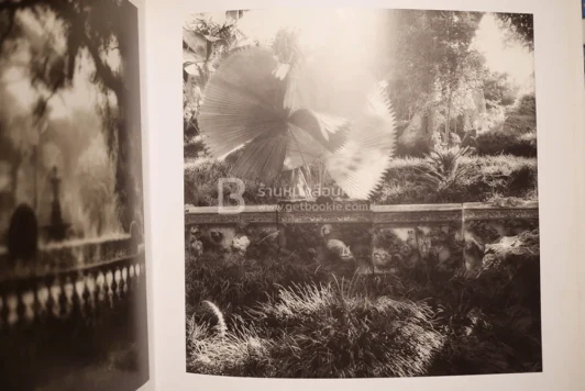 Deceits & Fantasies Contemporary Photography and The Garden รูปที่ 5