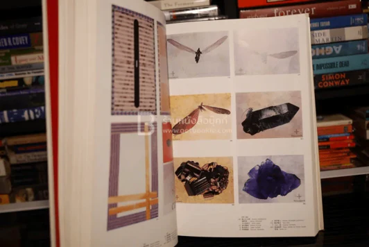 ADC Tokyo Art Directors Club Annual 1996 รูปที่ 6