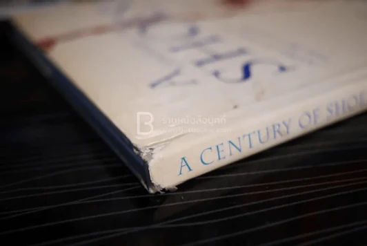 A Century of Shoes รูปที่ 3
