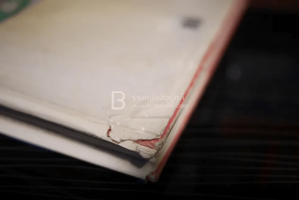 Illustration Index l รูปที่ 13