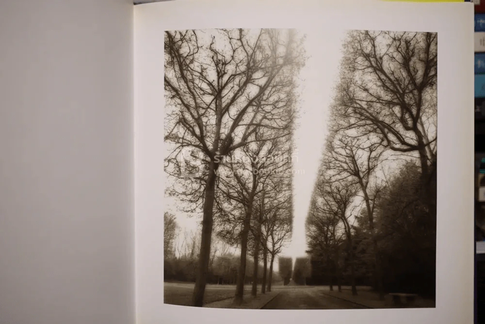 Deceits & Fantasies Contemporary Photography and The Garden รูปที่ 6