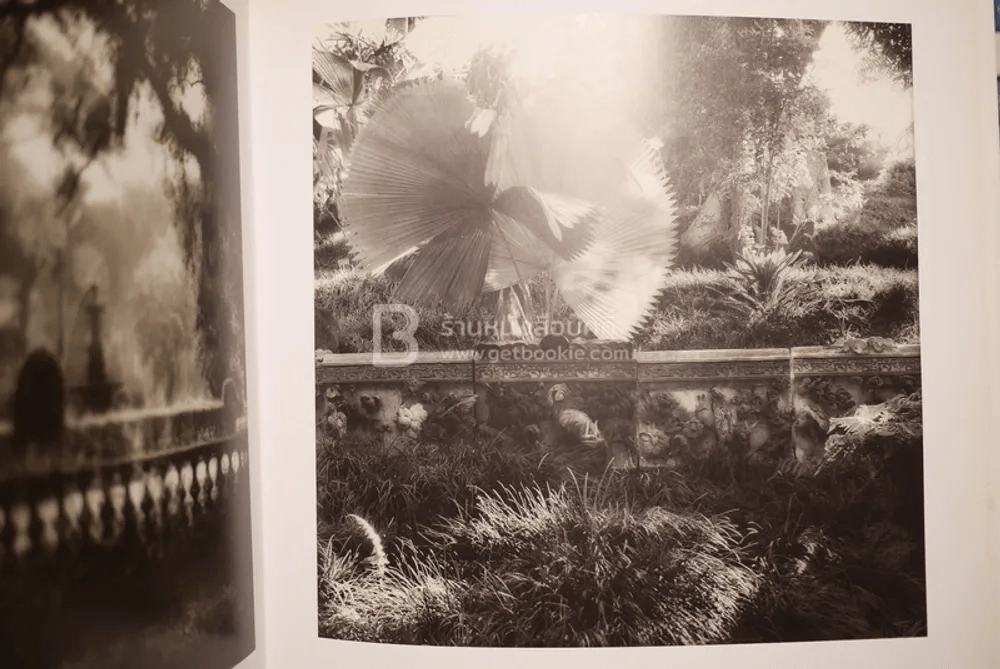 Deceits & Fantasies Contemporary Photography and The Garden รูปที่ 5