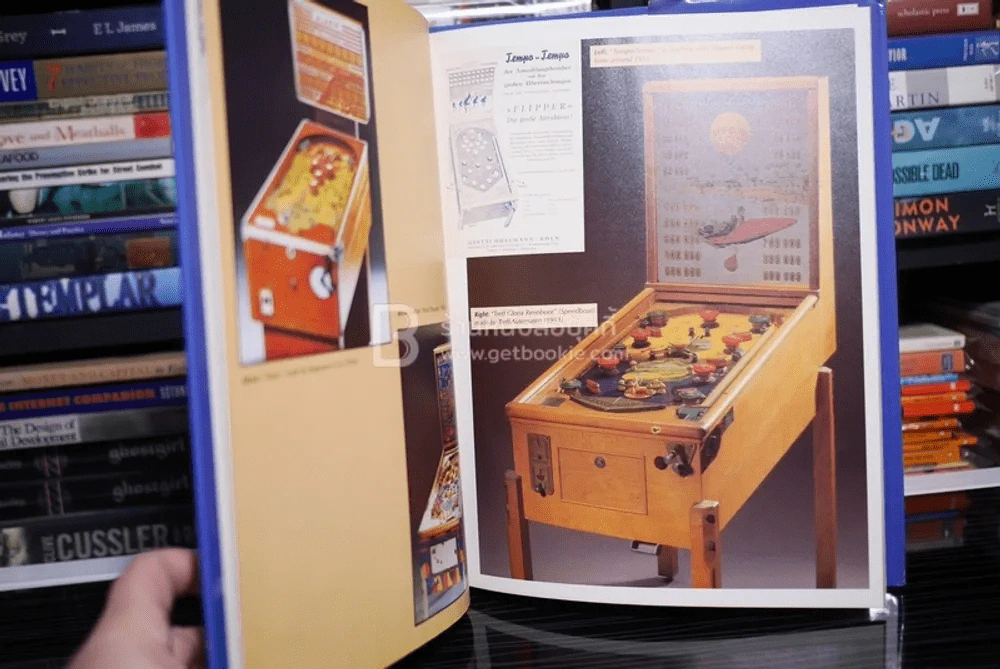 Pinball - Tiger รูปที่ 6