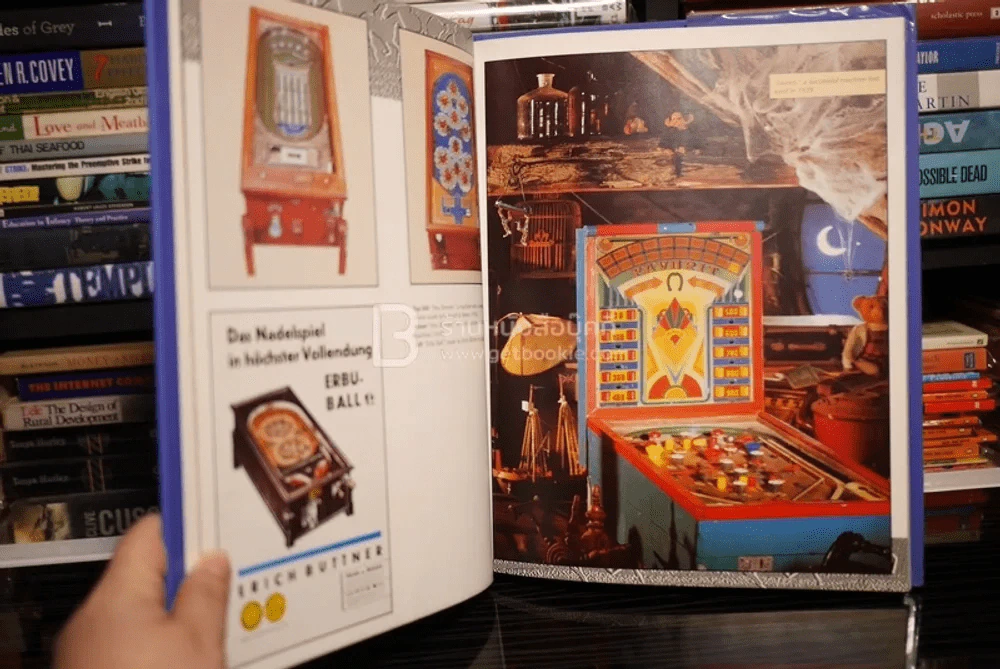 Pinball - Tiger รูปที่ 5
