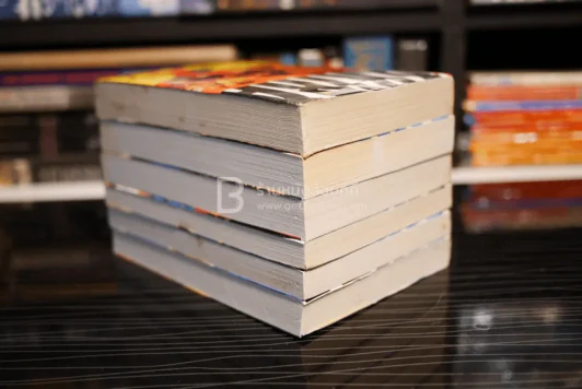 AKIRA 6 เล่มจบ (มือหนึ่ง) รูปที่ 5