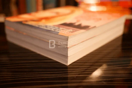 บันทึกของตุ๊ด เล่ม 1-3 รูปที่ 4