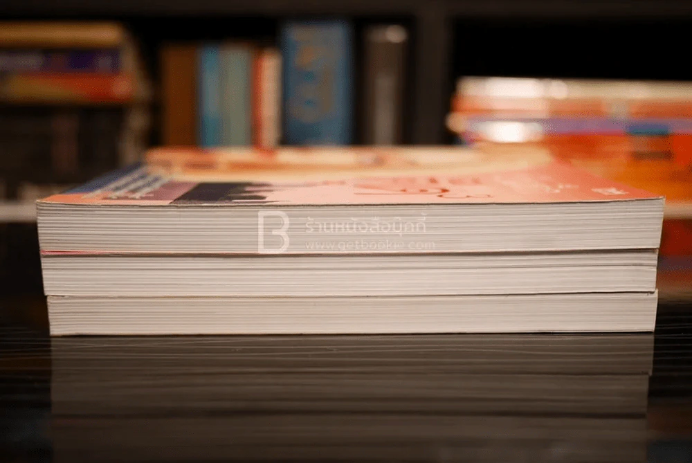 บันทึกของตุ๊ด เล่ม 1-3 รูปที่ 3