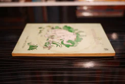 พลายมลิวัลลิ์ - ถนอม มหาเปารยะ รูปที่ 3