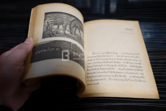 ตามล่า! ชีวิตการผจญภัยของสิงห์หนุ่ม (หนังสืออ่านนอกเวลา) รูปที่ 4