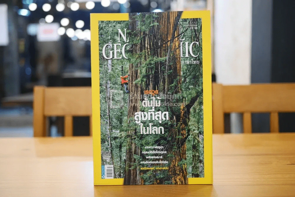 National Geographic ฉบับที่ 99 ต.ค. 2552 เรดวูด รูปที่ 1
