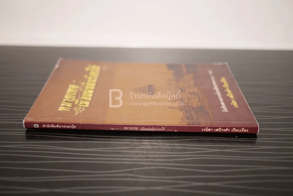 หมายเหตุ:เมื่อแผ่นดินร้องไห้ - เวนิสา เสนีวงศ์ รูปที่ 2