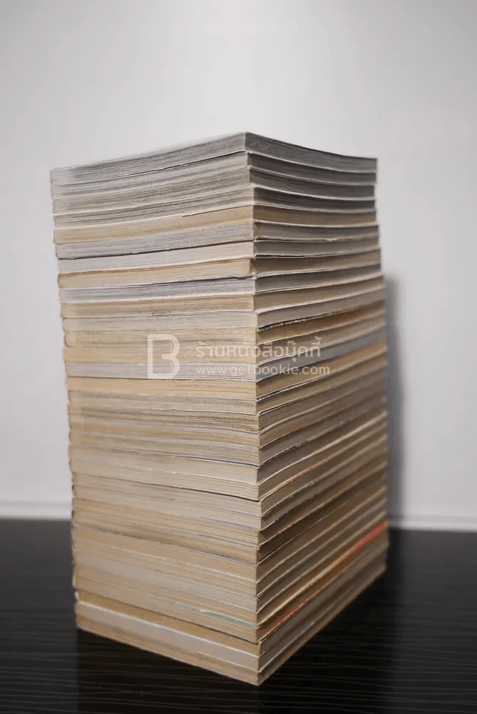 Hunter x Hunter ครบชุด เล่ม 1-33 ล่าสุด รูปที่ 3