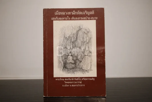 เมื่อหลวงตาฝึกหัดเจริญสติ เล่นกับลมหายใจ เดินจงกรมสบ๊าย-สบาย รูปที่ 1