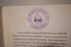 ปลุกใจเสือป่า - รัชกาลที่6 รูปที่ 3