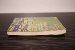 ธรรมะสำหรับคนนอกวัด - วิลาศ มณีวัต(สภาพบวมน้ำ) รูปที่ 3