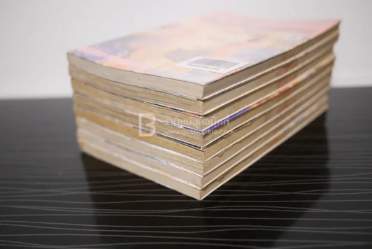 คุณครูหัวเห็ดสืบสะเด็ดฆาตกรรม 8 เล่มจบ รูปที่ 4