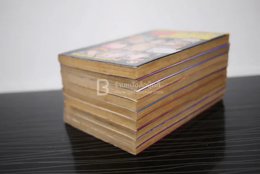 จ้าวพยัคฆ์ 9 เล่มจบ (ผู้เขียนซันชิโร่ x2) รูปที่ 4