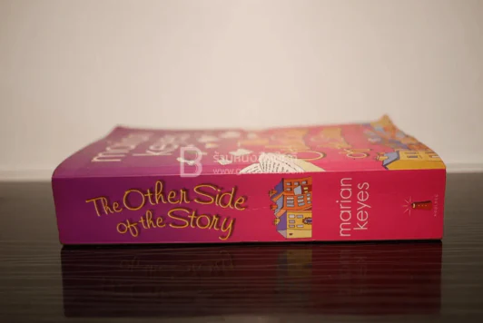 The Other Side of the Story รูปที่ 2