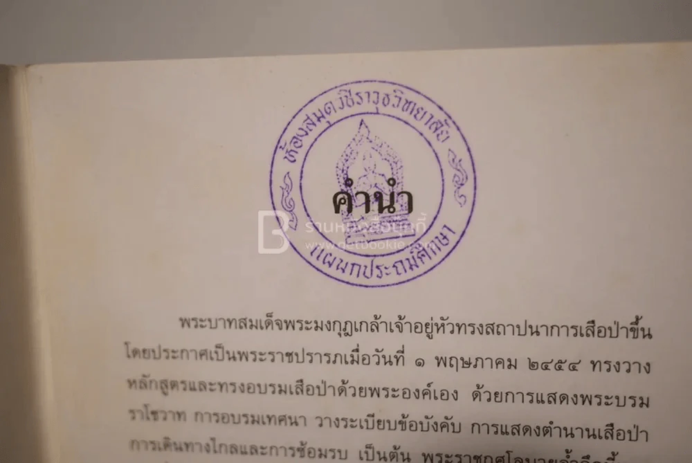 ปลุกใจเสือป่า - รัชกาลที่6 รูปที่ 3