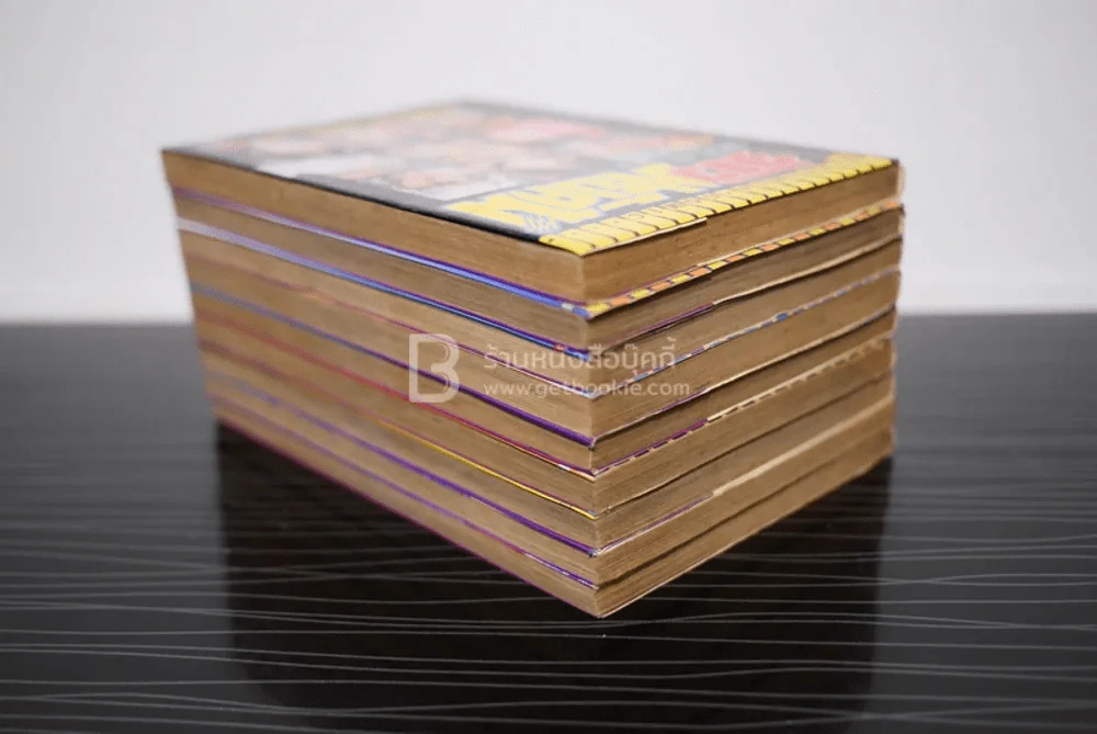 จ้าวพยัคฆ์ 9 เล่มจบ (ผู้เขียนซันชิโร่ x2) รูปที่ 5