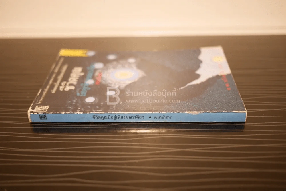 ชีวิตคุณมีอยู่เพียงขณะเดียว - เขมานันทะ รูปที่ 2