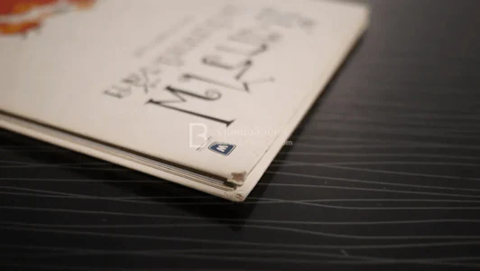 มังกรไฟไม่เรียนหนังสือ - ประภาส ชลศรานนท์ (ปกแข็ง ไม่มีซีดี) รูปที่ 4