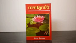 การปลูกบัว - วิเชษฐ ค้าสุวรรณ รูปที่ 1