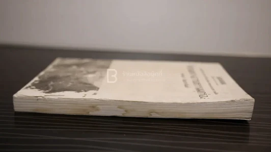 ในท่ามกลางอารยธรรมผุกร่อน - พจนา จันทรสันติ (สภาพบวมน้ำ) รูปที่ 3