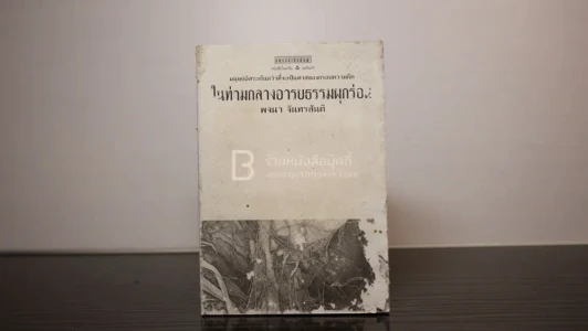 ในท่ามกลางอารยธรรมผุกร่อน - พจนา จันทรสันติ (สภาพบวมน้ำ) รูปที่ 1