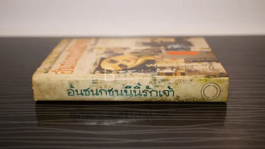 อันชนกชนนีนี้รักเจ้า - วศิน อินทสระ รูปที่ 2