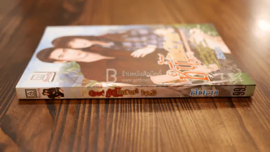 หนี้พิศวาส - ศีตลา รูปที่ 2