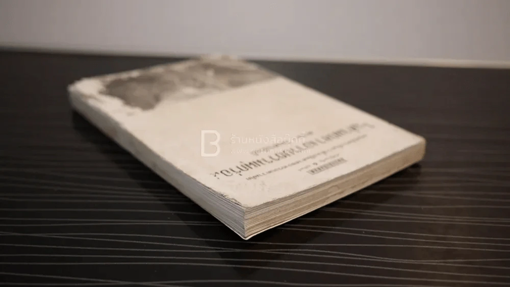 ในท่ามกลางอารยธรรมผุกร่อน - พจนา จันทรสันติ (สภาพบวมน้ำ) รูปที่ 6